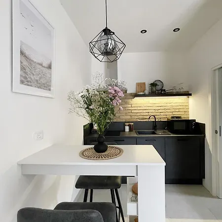 公寓 Cozy With Terrace + Free Parking 奥帕提亚